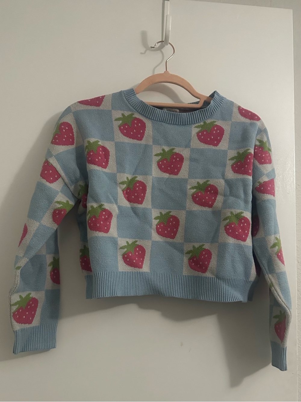 Whimsical Debut by Dreamer Strawberry Cropped Sweater | Cottagecore